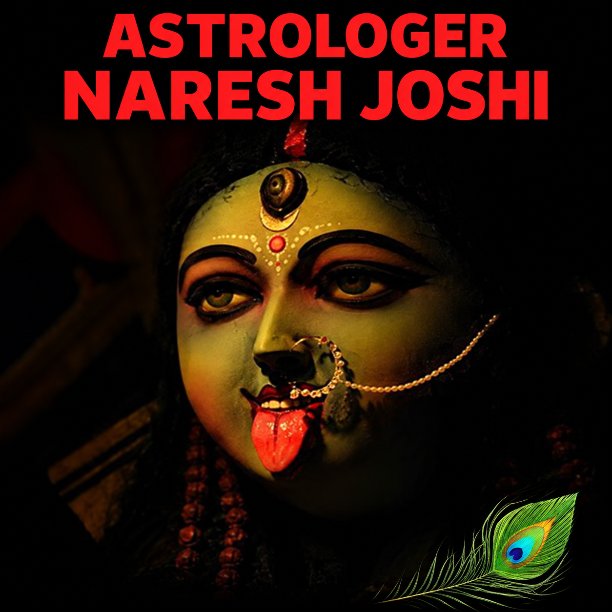 Astrologer Naresh Joshi logo